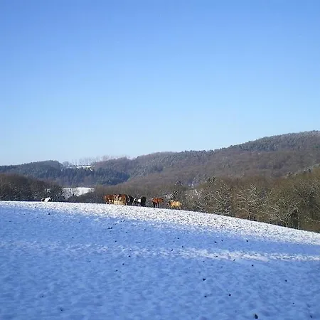 Ferienhaus Auf Reiterhof Im Westerwald Breitscheid (Rhineland-Palatinate)